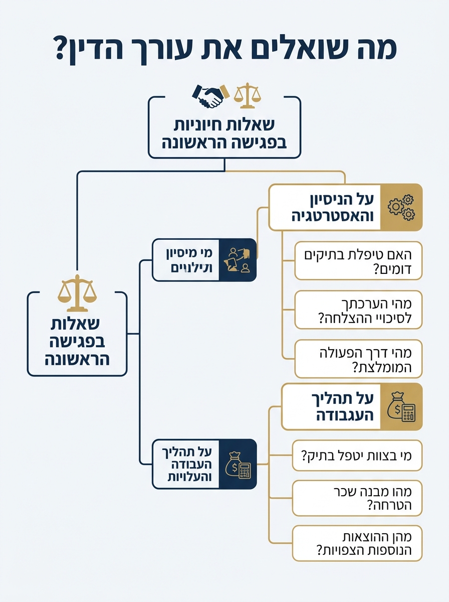 אינפוגרפיקה