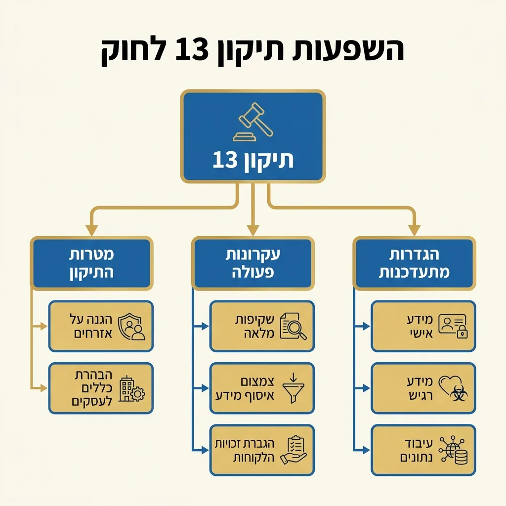 אינפוגרפיקה — השפעות תיקון 13 לחוק: תיקון 13